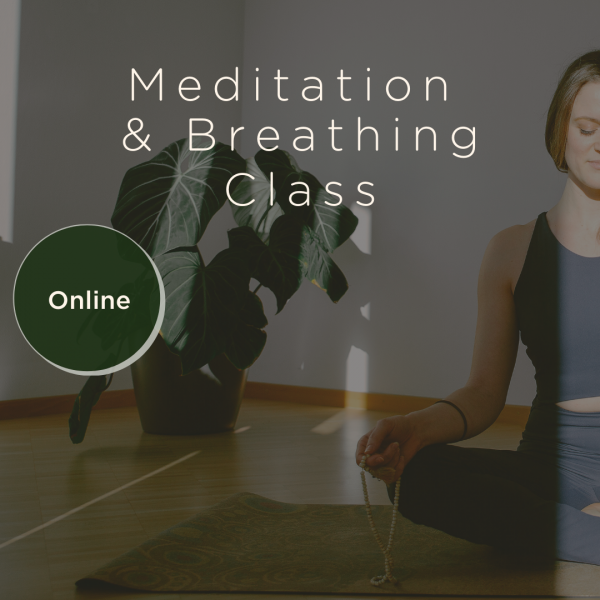 GROUP CLASS: Online Meditation & Breathing – Move, Breathe, Find Stillness [SINGLE class]