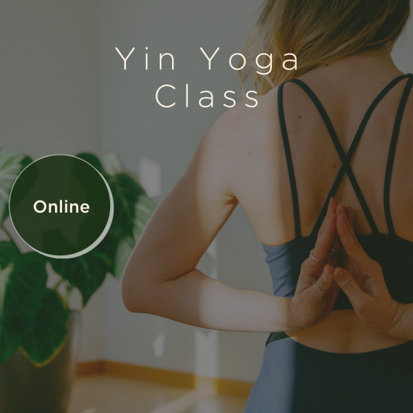 GROUP CLASS: Online Yin Yoga – Slow Down, Release, Restore [SINGLE class]