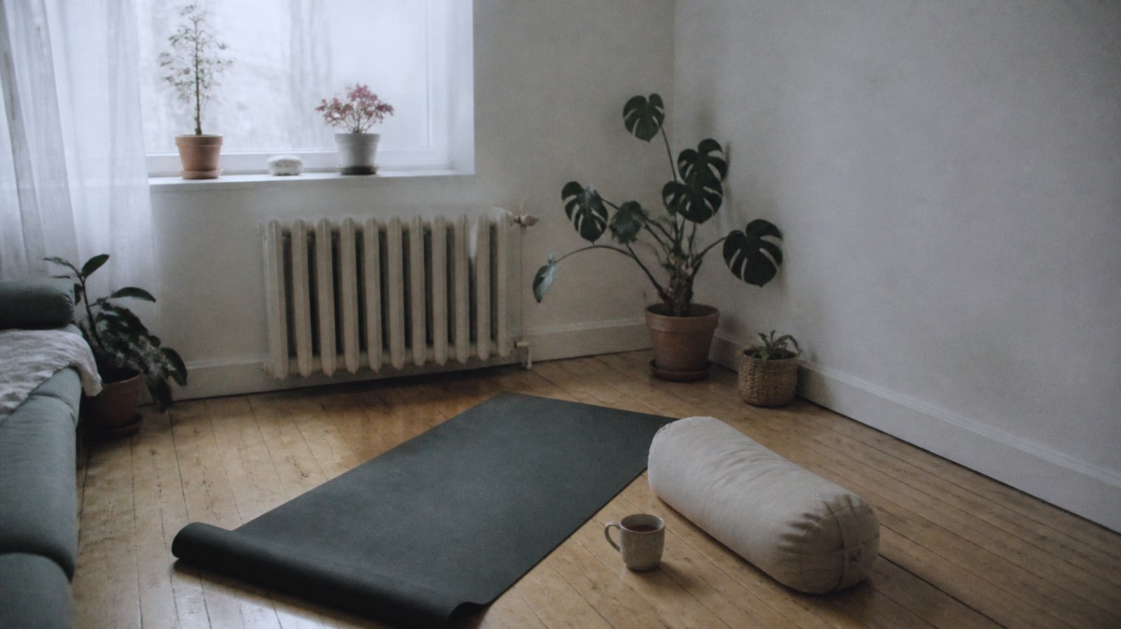 Bright, quiet room with plants by the window, ready for a small yoga series in Zürich